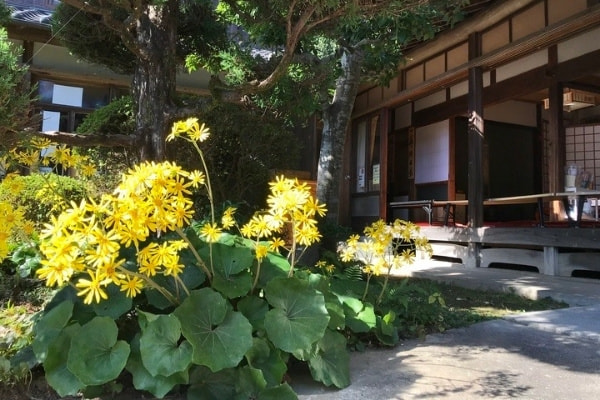 書道教室庭